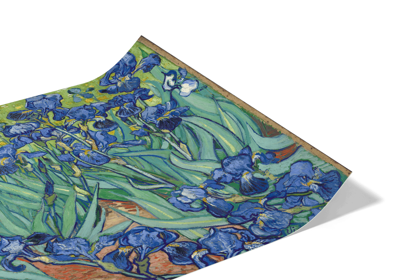Reproduction du tableau "Iris" de Vincent van Gogh — impression d'art Melanchromia